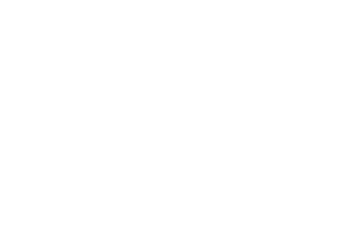 Amberger Logo (White)
